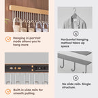 Wooden Pull-Out Sliding Closet Organizer 12 Hooks